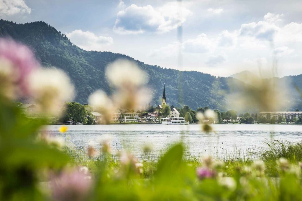 Deutschland, Tegernsee, Rottach-Egern, Blick durch Blumenwiese über den See nach Rottach-Egern, dahinter Berge, Europa, 7.06.2015 Engl.: Europe, Germany, Lake Tegernsee, Rottach-Egern, view through a flower field across the lake to Rottach-Egern, in the background mountains, leisure, travel, Alps, German Alps, Bavaria, Summer, Bavarian lakes, 7.June.2015